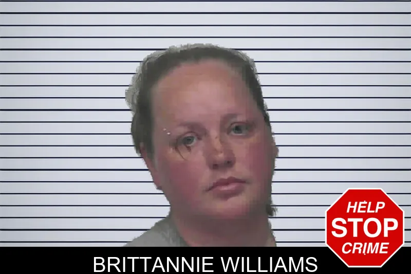 Brittannie Williams mugshot