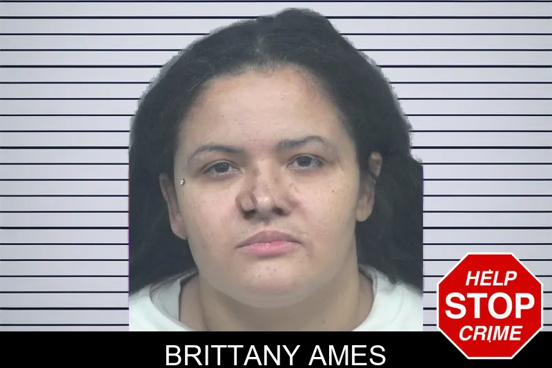 Brittany Ames mugshot – Gwinnett County , Georgia Brittany Ames mugshot
