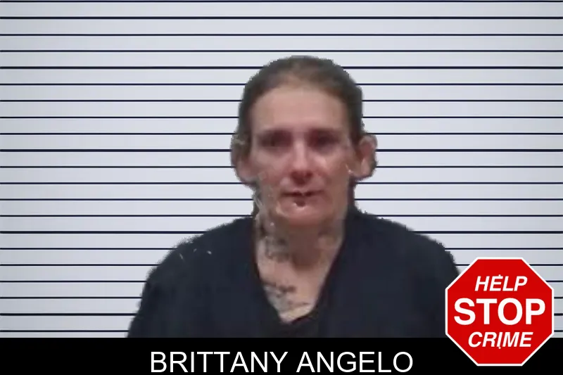 Brittany Angelo mugshot – Oglethorpe County , Georgia Brittany Angelo mugshot