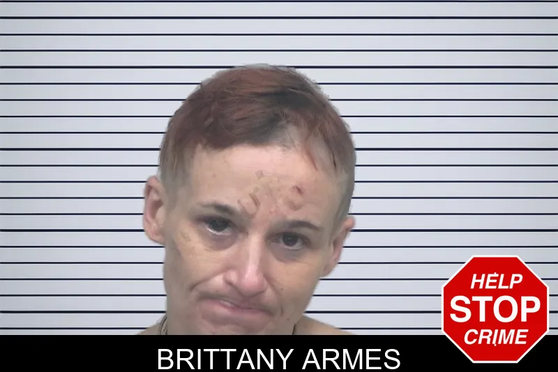 Brittany Armes mugshot