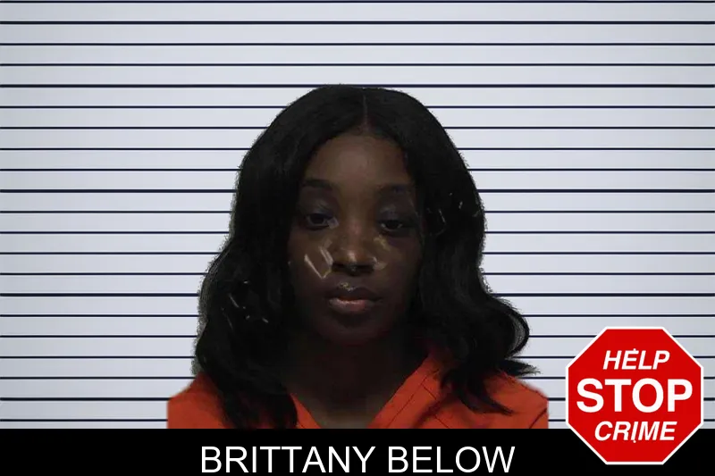 Brittany Below mugshot – Laurens County , Georgia Brittany Below mugshot