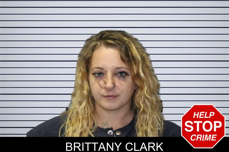 Brittany Clark mugshot – Thomas County , Georgia Brittany Clark mugshot