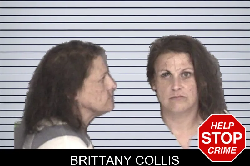 Brittany Collis mugshot