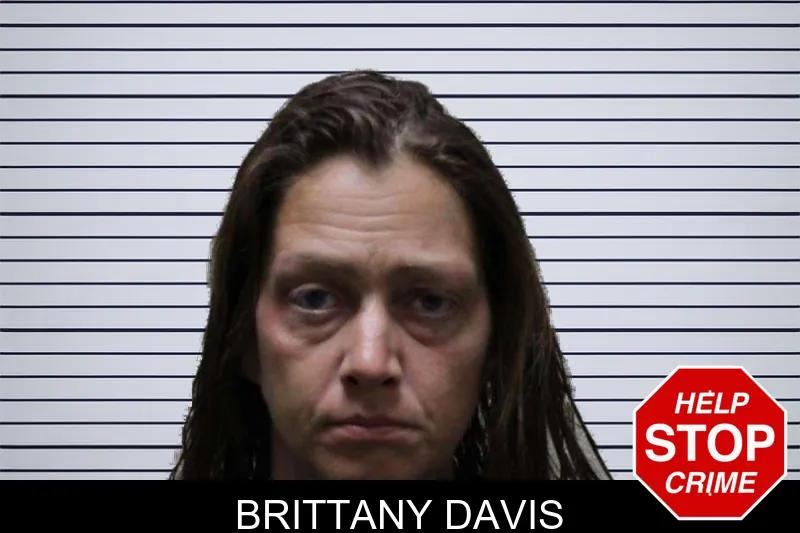 Brittany Davis mugshot