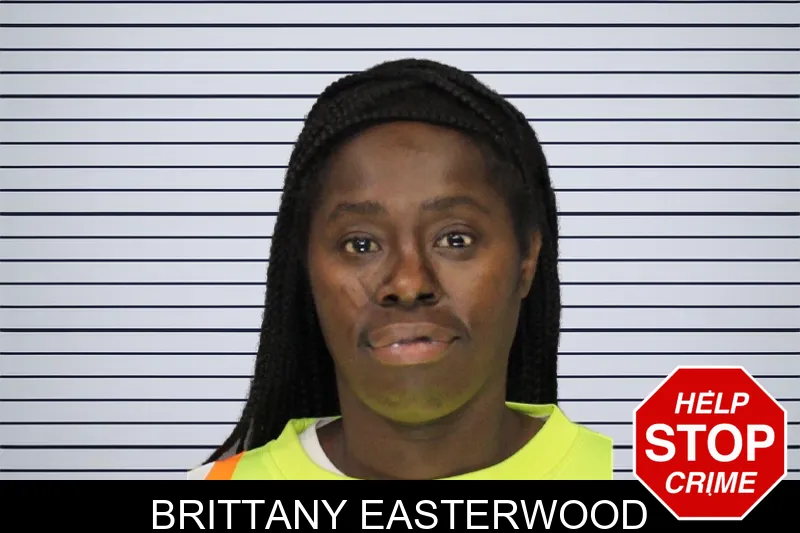 Brittany Easterwood mugshot – Cobb County , Georgia Brittany Easterwood mugshot