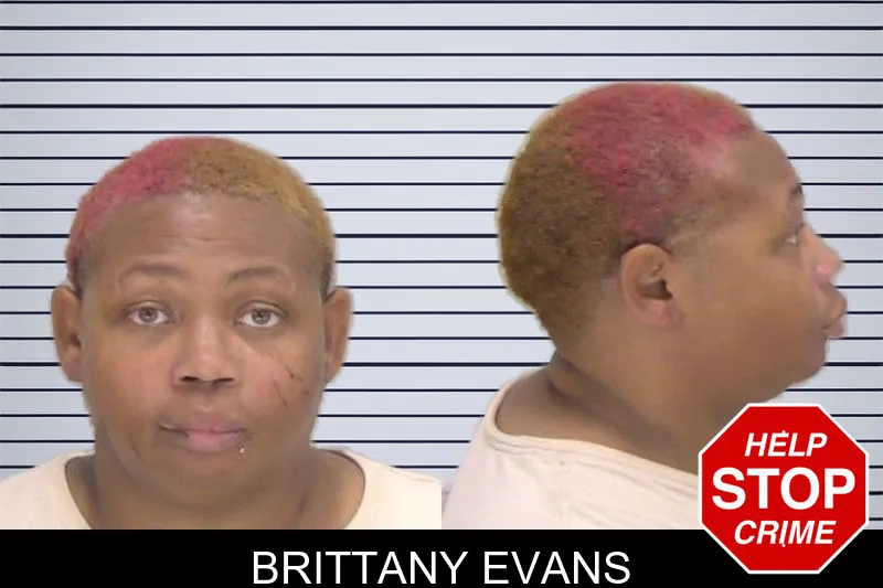 Brittany Evans mugshot – Richmond County , Georgia Brittany Evans mugshot