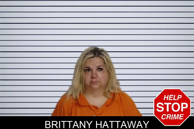 Brittany Hattaway mugshot – Rockdale County , Georgia Brittany Hattaway mugshot