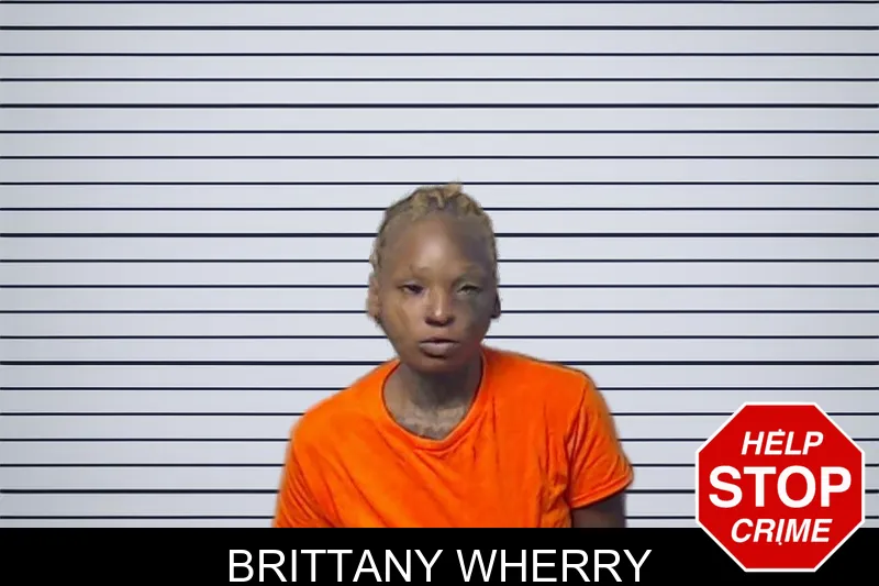 Brittany Wherry mugshot