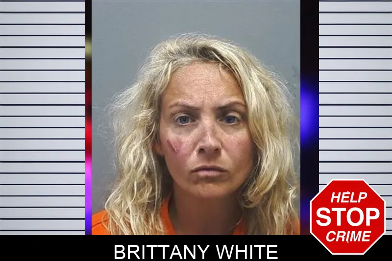 Brittany White mugshot – Cherokee County , Georgia Brittany White mugshot