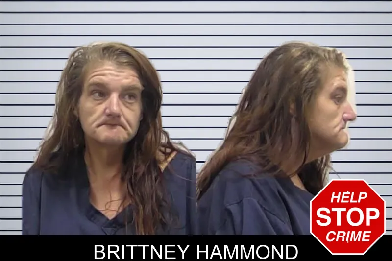 Brittney Hammond mugshot – Clarke County , Georgia Brittney Hammond mugshot