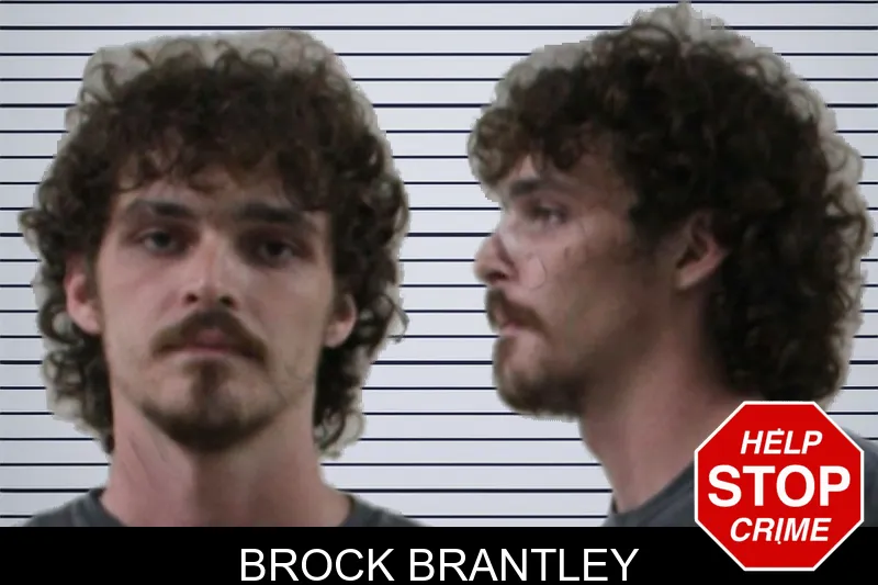 Brock Brantley mugshot