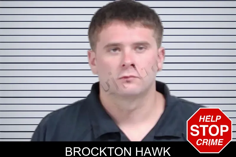 Brockton Hawk mugshot – Lowndes County , Georgia Brockton Hawk mugshot