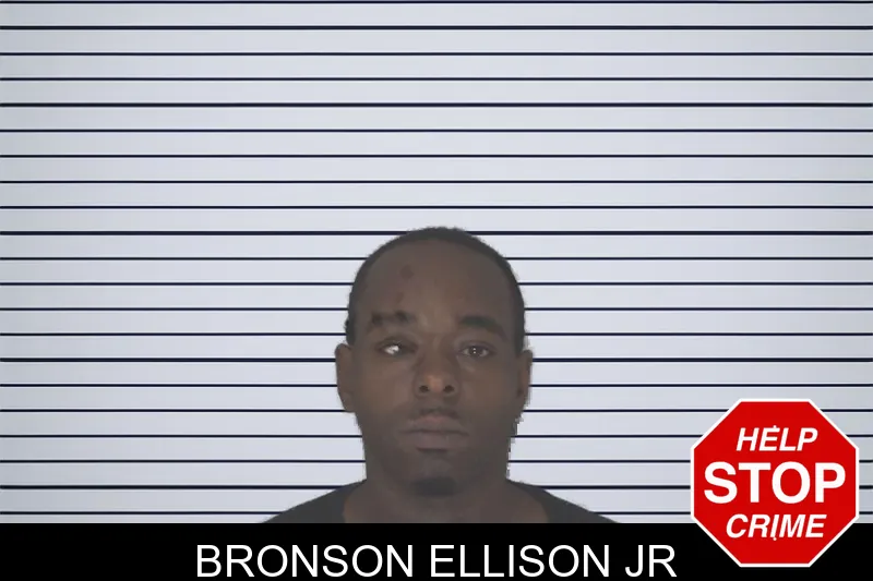 Bronson Ellison Jr mugshot