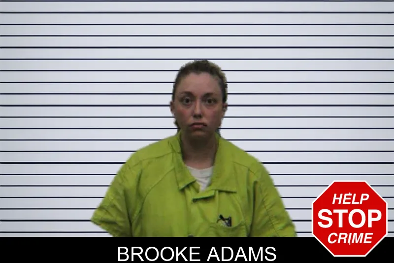Brooke Adams mugshot