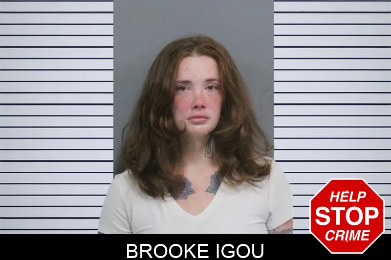 Brooke Igou mugshot – Catoosa County , Georgia Brooke Igou mugshot