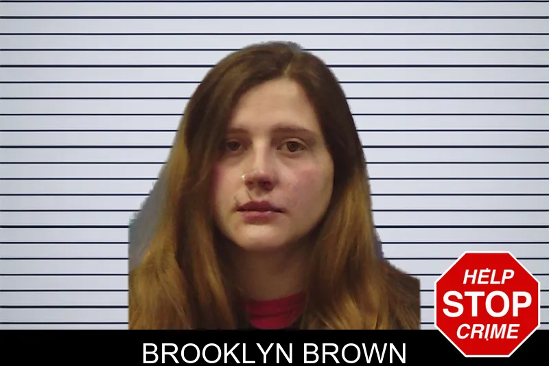 Brooklyn Brown mugshot