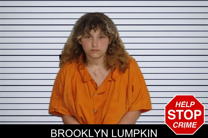 Brooklyn Lumpkin mugshot – Rockdale County , Georgia Brooklyn Lumpkin mugshot