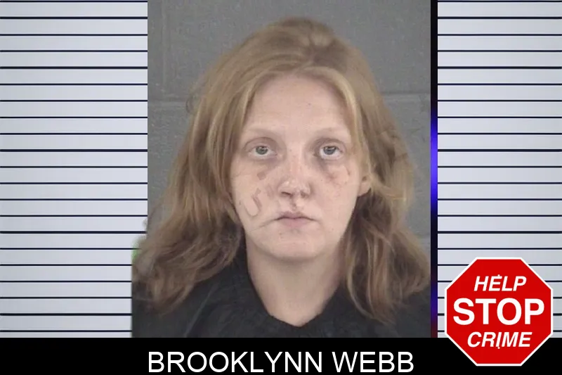 Brooklynn Webb mugshot – Spalding County , Georgia Brooklynn Webb mugshot