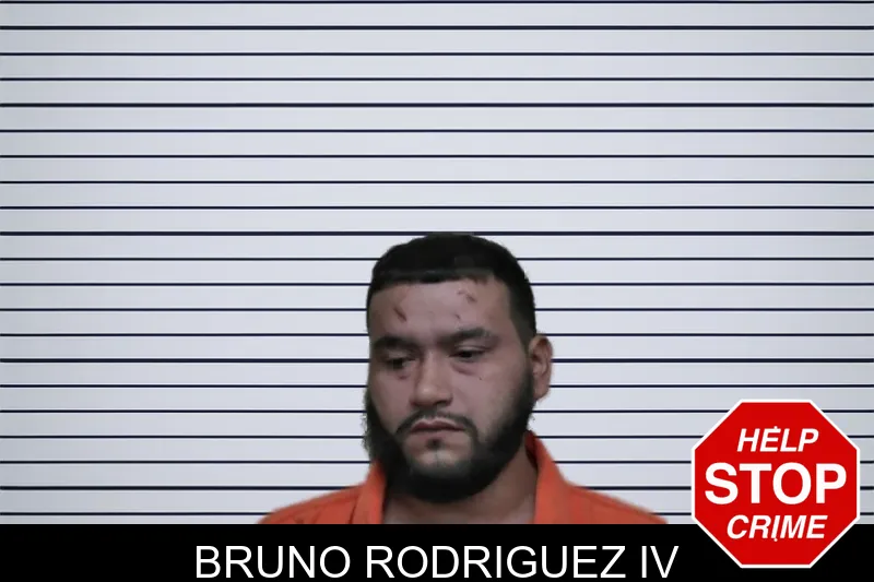 Bruno Rodriguez IV mugshot