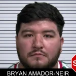 Bryan Amador-Neir mugshot