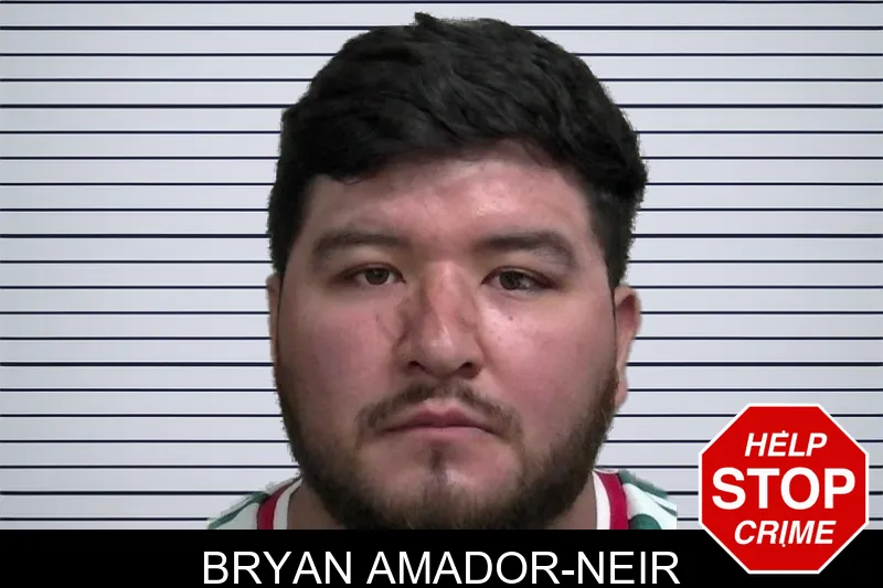Bryan Amador-Neir mugshot
