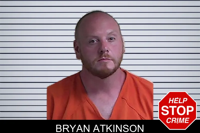 Bryan Atkinson mugshot – Fannin County , Georgia Bryan Atkinson mugshot