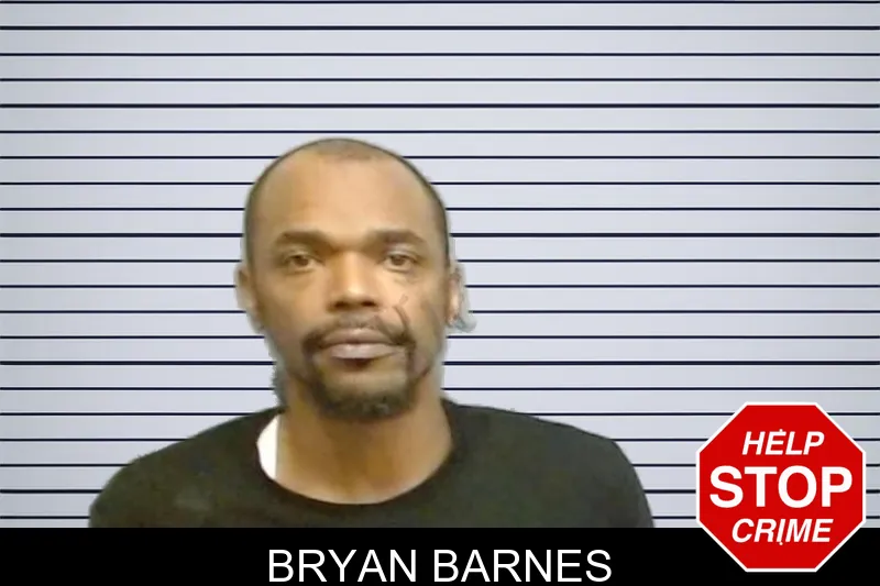 Bryan Barnes mugshot