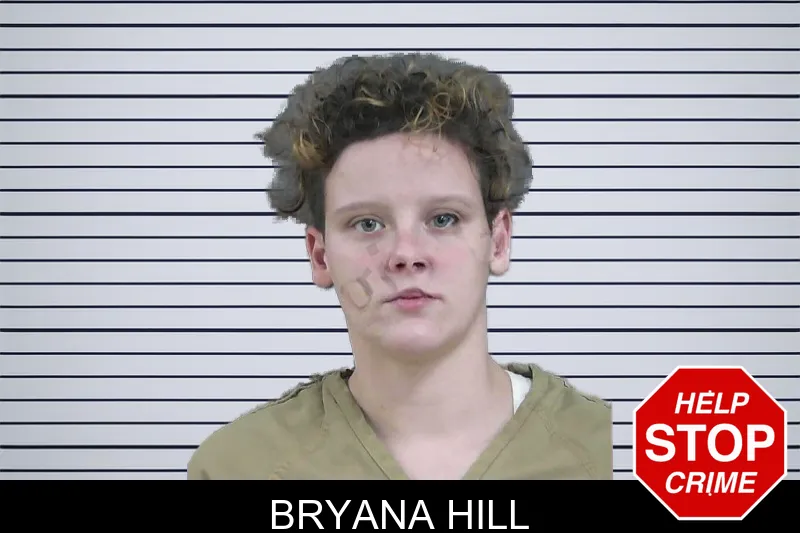 Bryana Hill mugshot – Gordon County , Georgia Bryana Hill mugshot