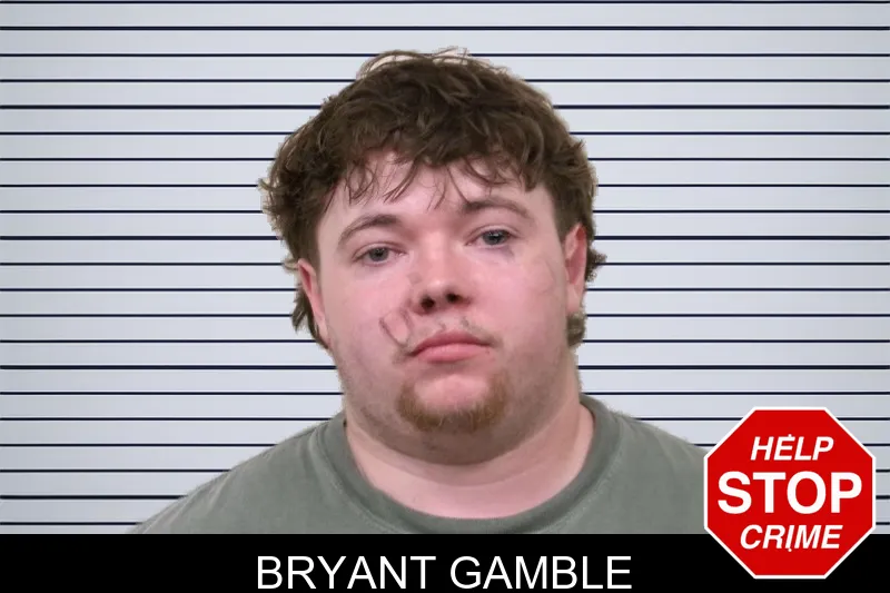 Bryant Gamble mugshot – Bulloch County , Georgia Bryant Gamble mugshot