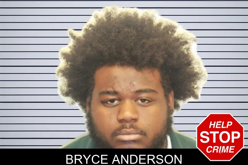 Bryce Anderson mugshot