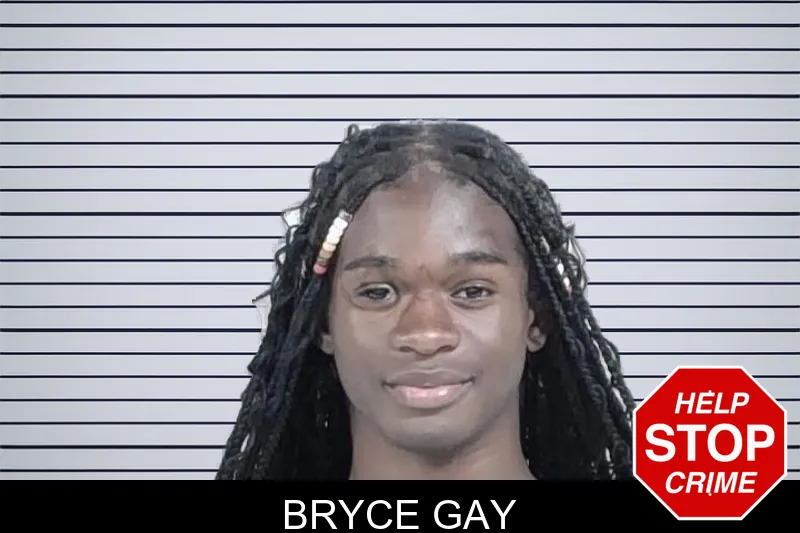 Bryce Gay mugshot