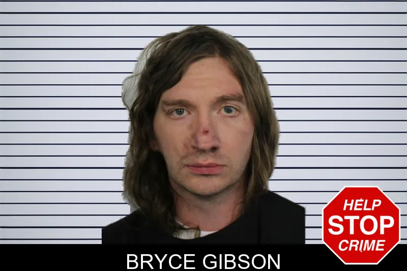 Bryce Gibson mugshot