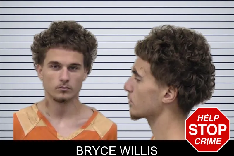Bryce Willis mugshot