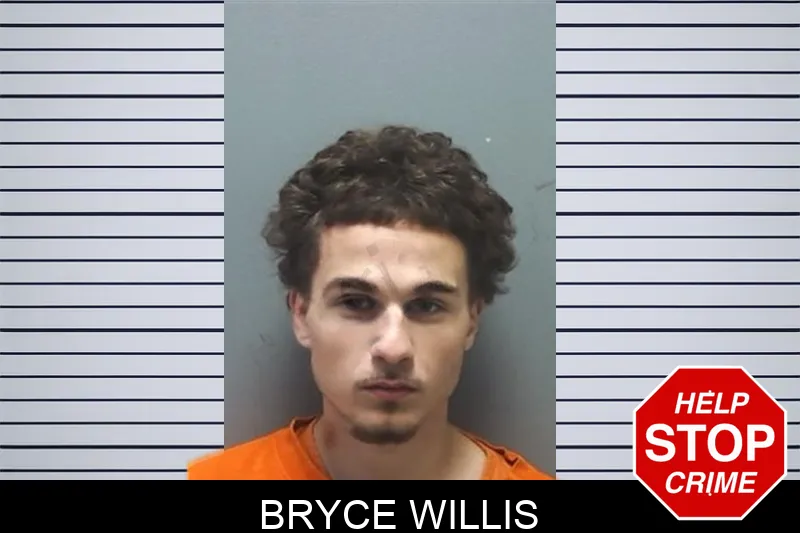 Bryce Willis mugshot