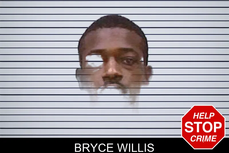 Bryce Willis mugshot – Screven County , Georgia Bryce Willis mugshot