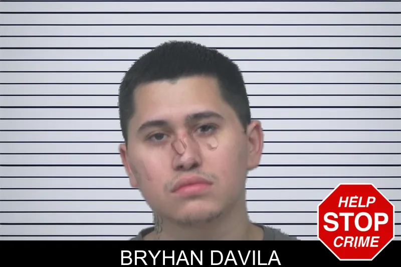 Bryhan Davila mugshot
