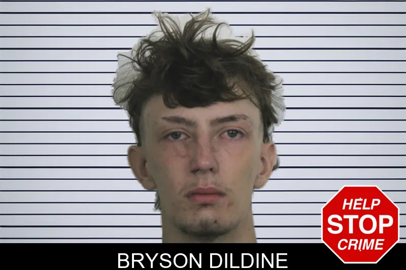 Bryson Dildine mugshot