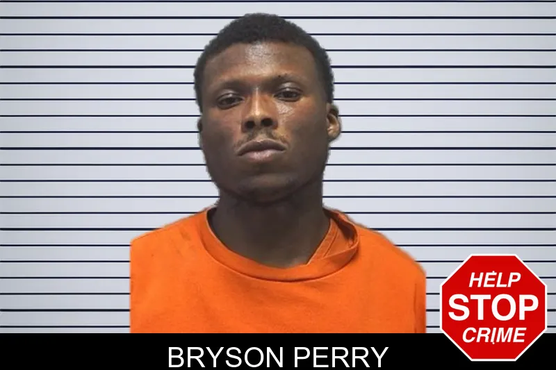 Bryson Perry mugshot