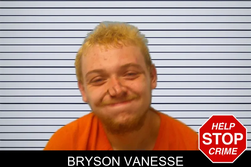 Bryson Vanesse mugshot – Franklin County , Georgia Bryson Vanesse mugshot