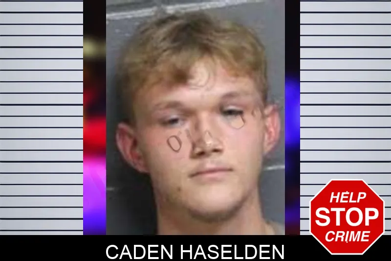 Caden Haselden mugshot – Bacon County , Georgia Caden Haselden mugshot