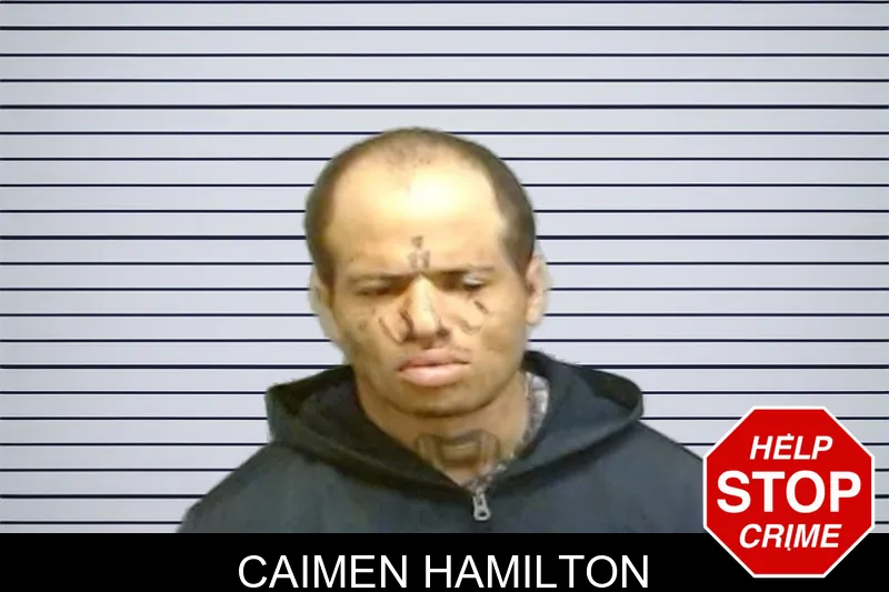 Caimen Hamilton mugshot