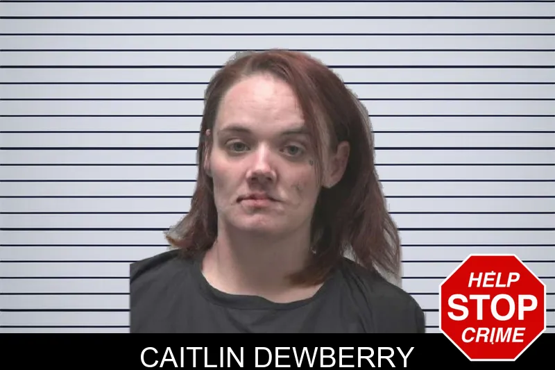 Caitlin Dewberry mugshot