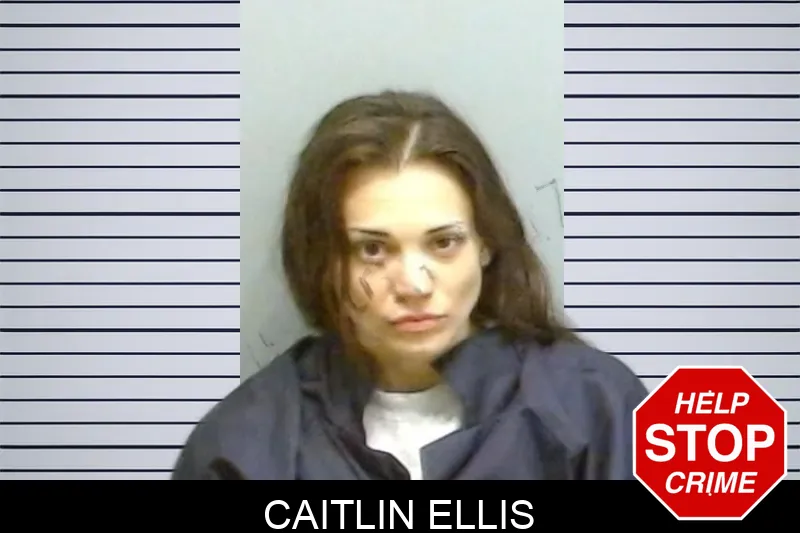Caitlin Ellis mugshot