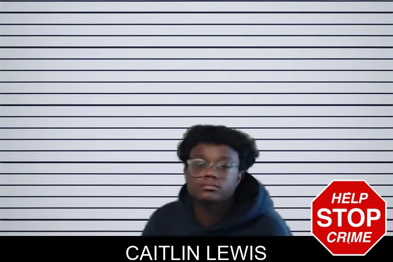 Caitlin Lewis mugshot