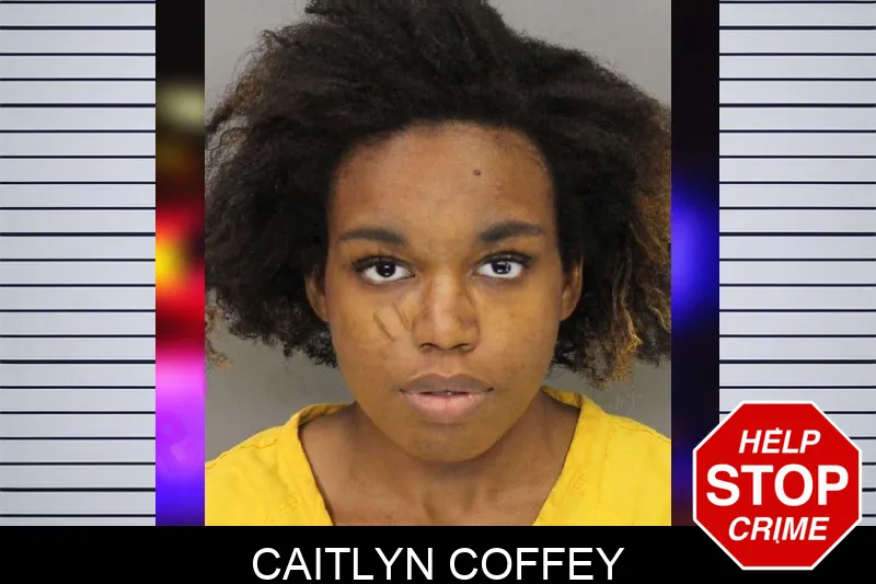 Caitlyn Coffey mugshot – Cobb County , Georgia Caitlyn Coffey mugshot