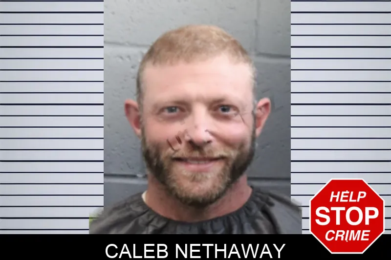 Caleb Nethaway mugshot – Forsyth County , Georgia Caleb Nethaway mugshot