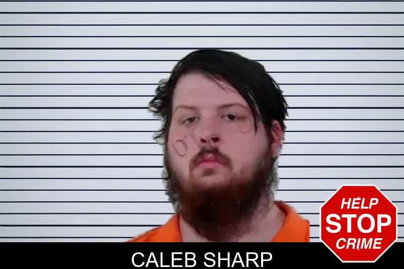 Caleb Sharp mugshot – Liberty County , Georgia Caleb Sharp mugshot