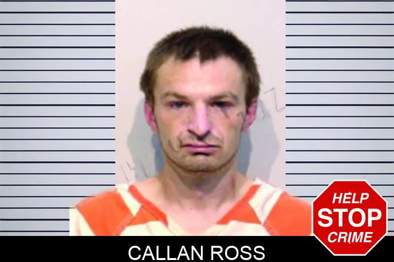 Callan Ross mugshot