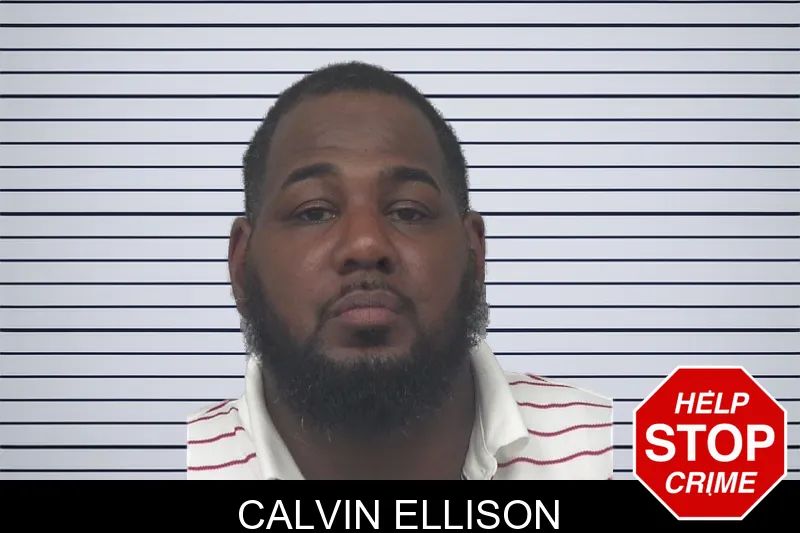 Calvin Ellison mugshot – Gwinnett County , Georgia Calvin Ellison mugshot