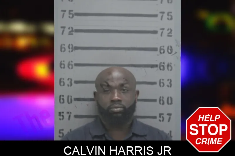 Calvin Harris Jr mugshot